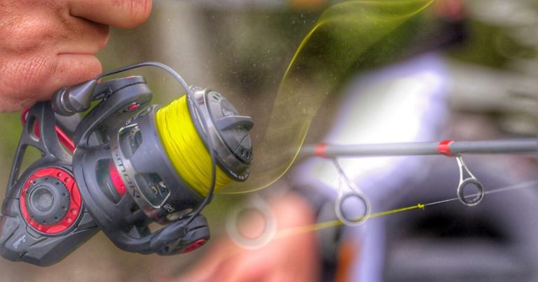 The Best Fishing Lines For Your Fishing Expedition