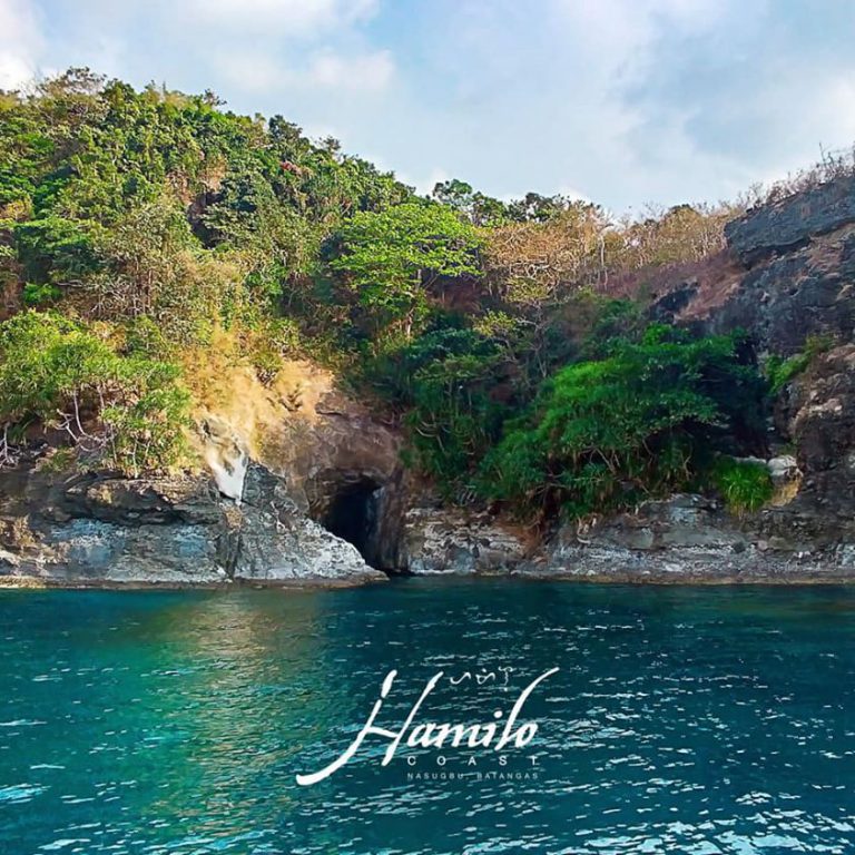 How Hamilo Coast is Keeping Oceans Clean and Forests Green
