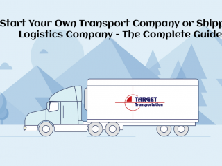 shipping logistics company guide