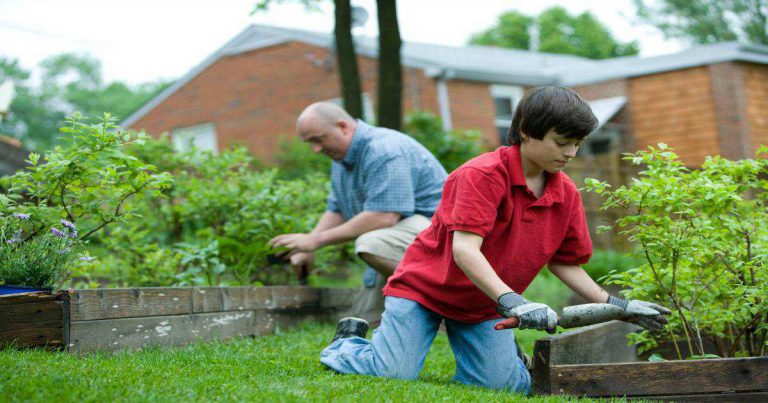 12 Simple Gardening Tricks to Save Money