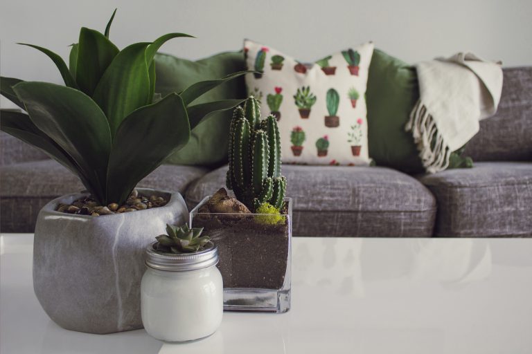 9 Tips to Make Your House Look More Elegant