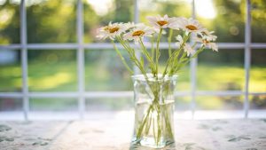 energy-efficient-windows-thermal-envelope