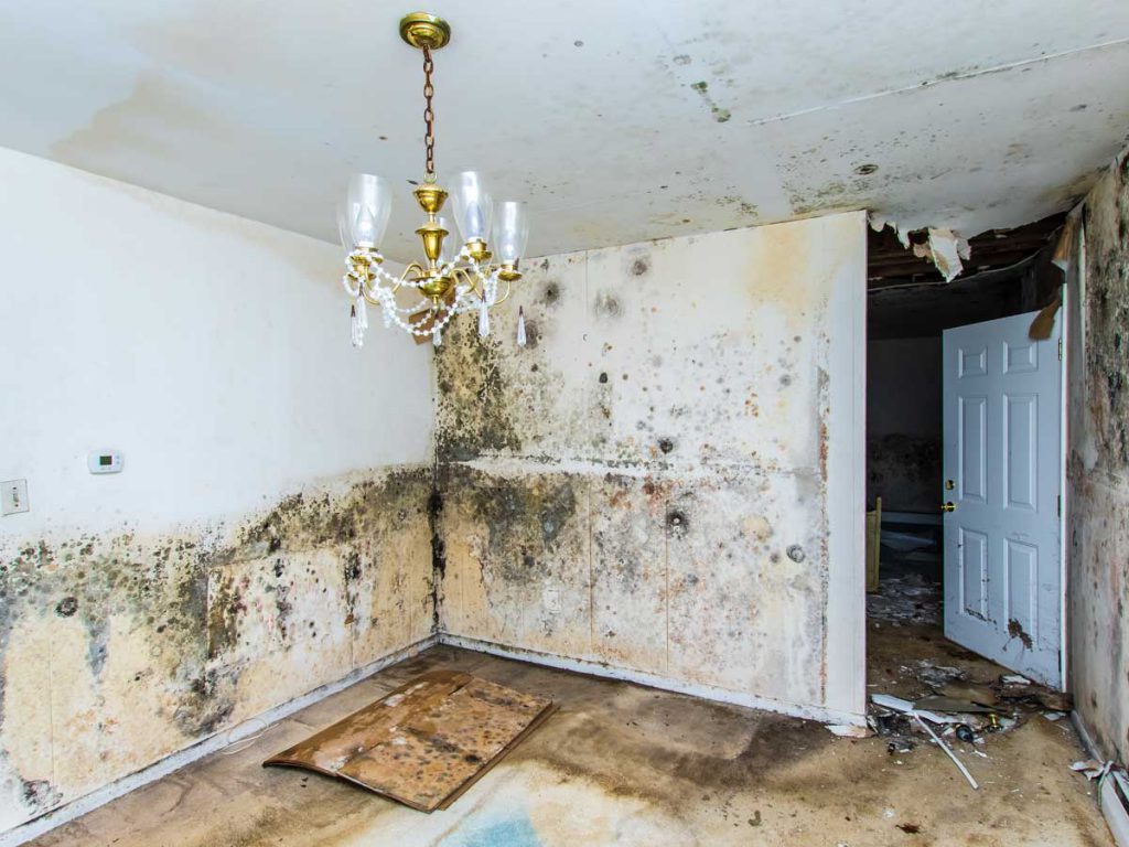 how to prevent water damage