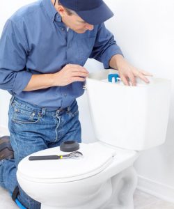DIY Toilet Repair