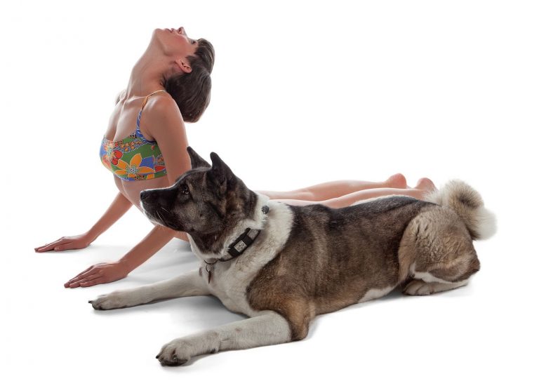 Doga: Best Fitness Activity To Keep You and Your Dog In Shape