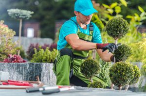 hiring a professional garden landscaper