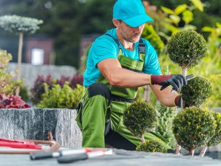hiring a professional garden landscaper