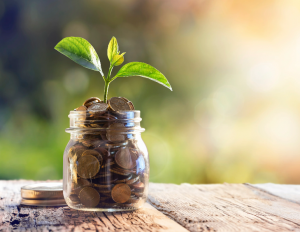 green marketing strategies