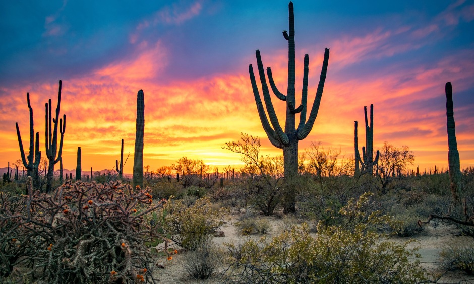 top tourist destinations in Arizona