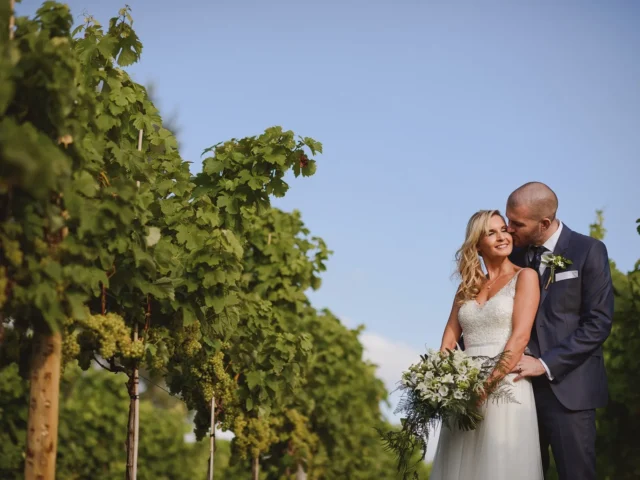 Somerset wedding