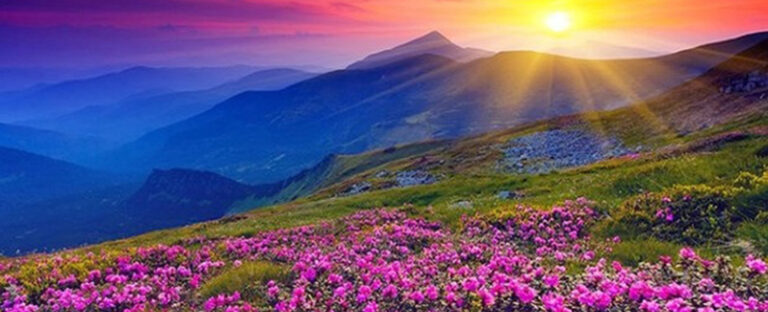 A Guide to Places to Visit in Uttarakhand: Natural Beauty