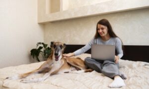 a women using webcam for dog boarding